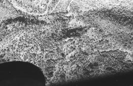 NMSA 03 557P