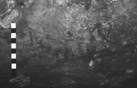 NMSA 03 6163P
