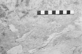 NMSA 03 1983P