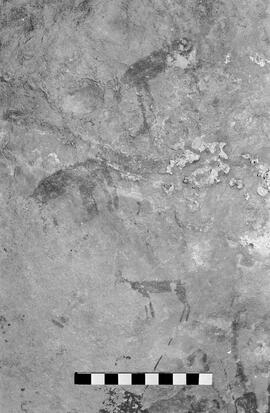 NMSA 03 5392P