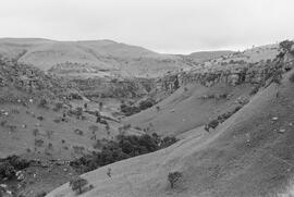 NMSA 03 4306P