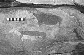 NMSA 03 1422P
