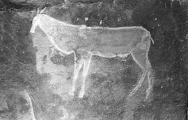NMSA 03 226P