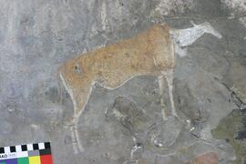 NMSA RSA LOM1 14D