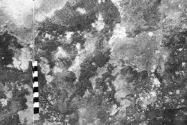 NMSA 03 4563P