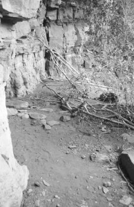 NMSA 03 8849P
