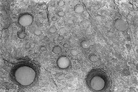 NMSA 03 8644P
