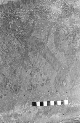 NMSA 03 1353P