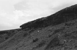NMSA 03 6206P