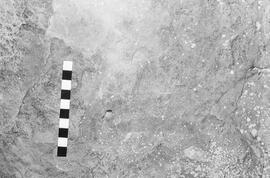 NMSA 03 1919P