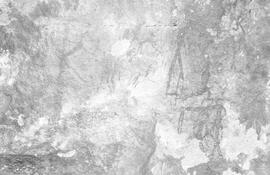 NMSA 03 150N