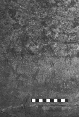 NMSA 03 6351P