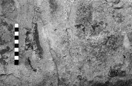 NMSA 03 3223P