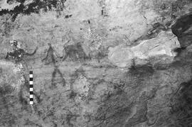 NMSA 03 6456P