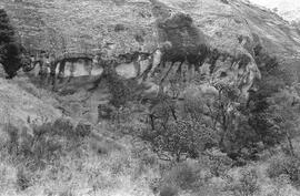 NMSA 03 3813P