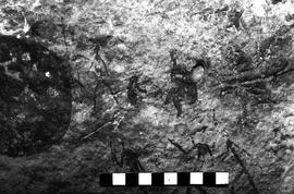 NMSA 03 4164P