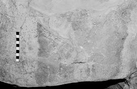 NMSA 03 6475P