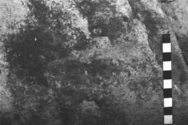 NMSA 03 6450P