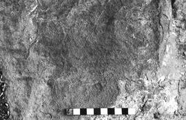 NMSA 03 6199P