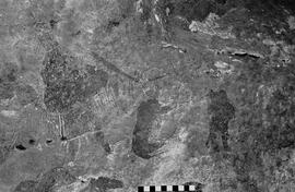 NMSA 03 6107P