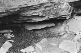 NMSA 03 6898P