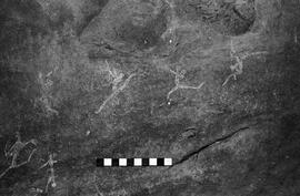 NMSA 03 4134P