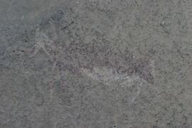 NMSA RSA GEO2 28D