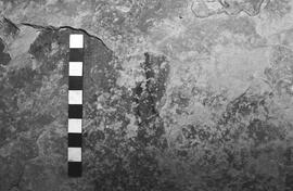 NMSA 03 3086P