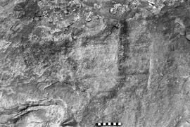 NMSA 03 5980P