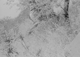 NMSA 03 8167P