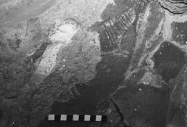 NMSA 03 8282P