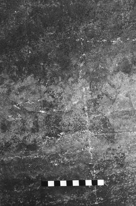 NMSA 03 5274P