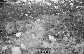 NMSA 03 6257P