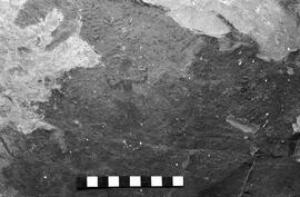 NMSA 03 4900P