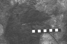 NMSA 03 2127P