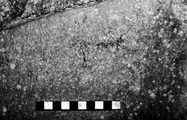 NMSA 03 4168P