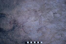 RSA CSF36 18