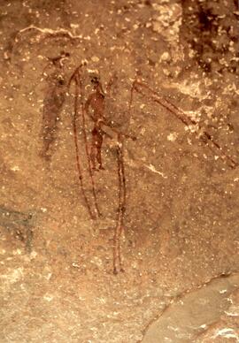 NMSA 02 128P