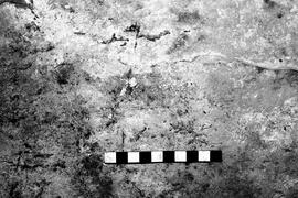 NMSA 03 4137P
