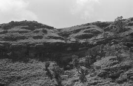 NMSA 03 1553P