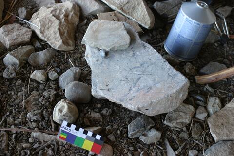 Open original Digital object