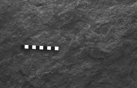 NMSA 03 2378P