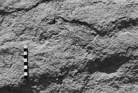 NMSA 03 5229P