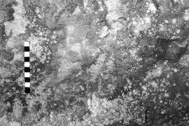 NMSA 03 4562P