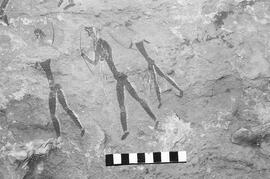 NMSA 03 1204P