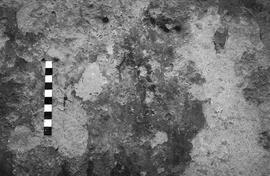NMSA 03 4290P