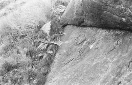 NMSA 03 1747P