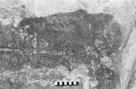 NMSA 03 1447P