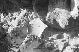 NMSA 03 2778P
