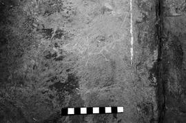 NMSA 03 4469P